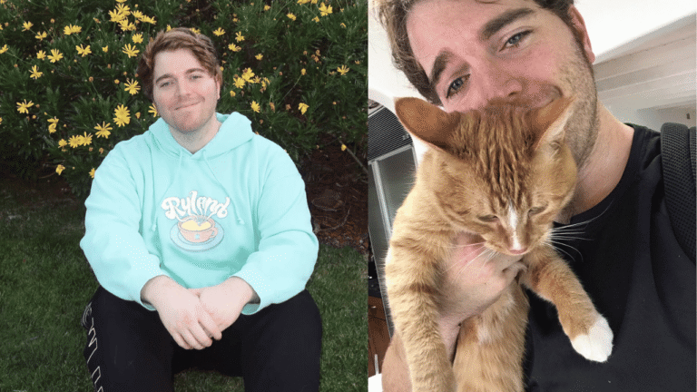 What Did Shane Dawson Do to His Cat