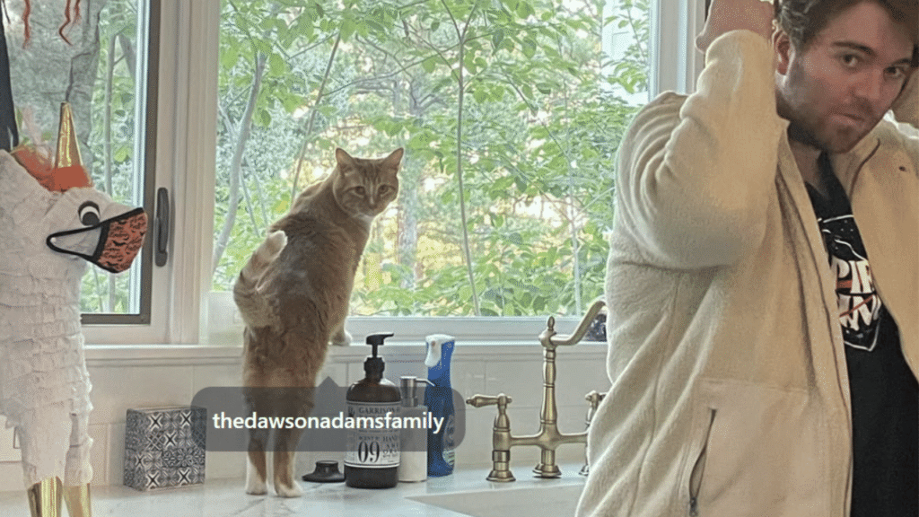 What Did Shane Dawson Do to His Cat?