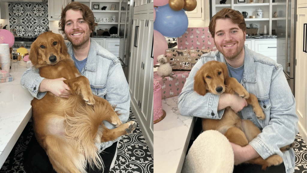 What Did Shane Dawson Do to His Cat?