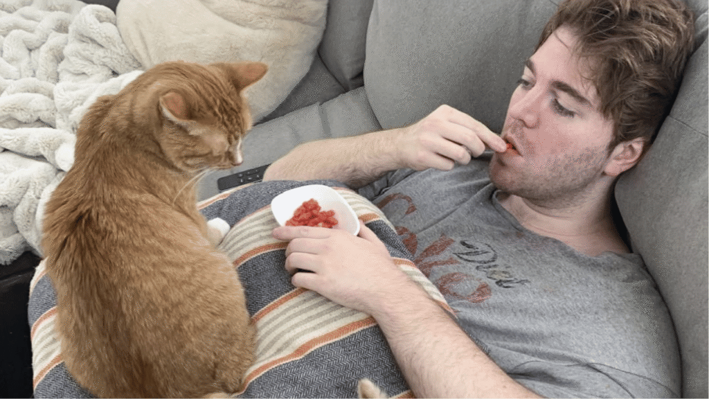 What Did Shane Dawson Do to His Cat?