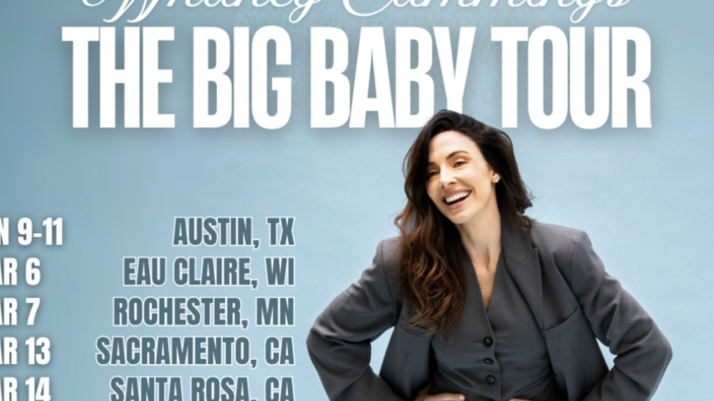 Whitney Cummings Net Worth