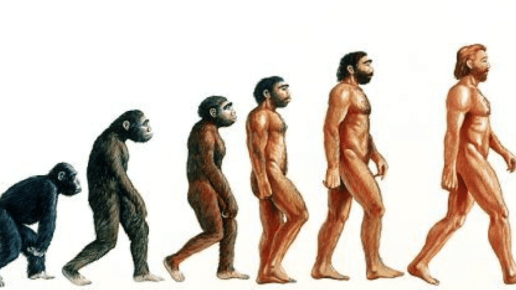 Ancestors Definition