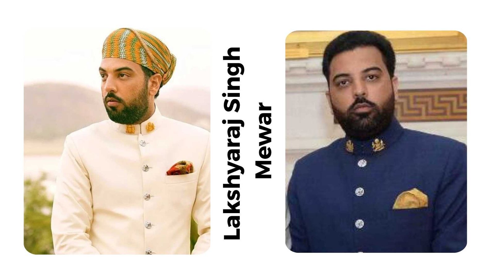 Lakshyaraj Singh Mewar